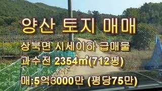 *양산 토지 매매/상북면 부동산 매매 /소토리 과수농장 시세이하 급매/경남일원 토지전문  매물접수 상담환영 T)055-363-0015