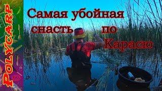 ПОКЛЕВКИ!!!ЛОВЛЯ КАРАСЯ В КАМЫШАХ НА ПОПЛАВОК ЛЕТОМ