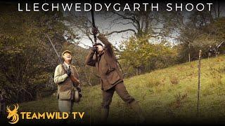 High Pheasant Shooting at Llechweddygarth in Wales with Ian Harford