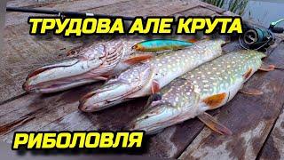 ️ТРУДОВА але КРУТА РИБОЛОВЛЯ