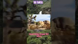 Belum kita ketahui!!!#fypyoutube #fypシ゚viral #fyp #faktadunia#daysplan-fyi