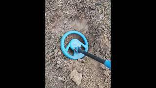 Old metal hunt with metal detector pin pointer #shorts #metaldetecting #treasurehunting #finding 