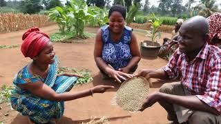 Top 10 Lucrative Agriculture Businesses in Africa!