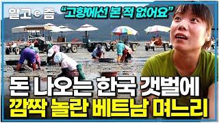 "이런 장관은 처음 봐요" 고향에서는 바다의 '바'자도 모르고 살던 베트남 며느리가 한국 시집와서 충격받은 이유｜한국기행｜알고e즘