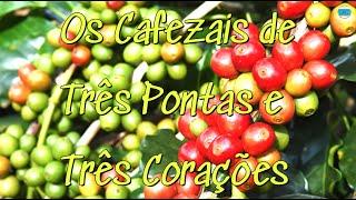 OS CAFEZAIS DE TRÊS PONTAS E TRÊS CORAÇÕES