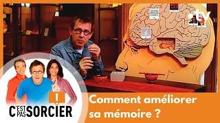 Comment améliorer sa mémoire ? - C'est pas sorcier [Intégrale]