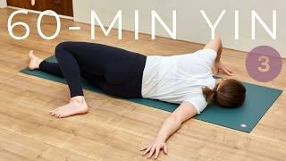 SERIES 60-Min Yin Yoga Classes | Yin Yoga Full-Body Stretch | Create Peaceful Moments Yoga Challenge