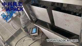 Automatic packaging machine for icecube--IAPACK