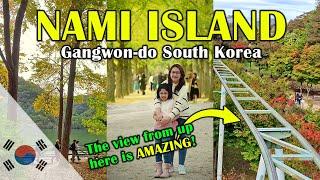 The ONE Place You Shouldn't Miss In South Korea! Nami Island!