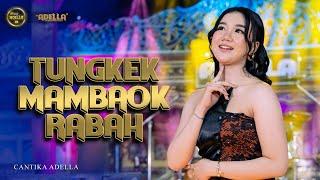 TUNGKEK MAMBAOK RABAH - Cantika Adella - OM ADELLA