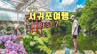 Recommend a must-visit destination in KoreaJeju Island Seogwipo Travel Guide‼️Korea Travel Vlog