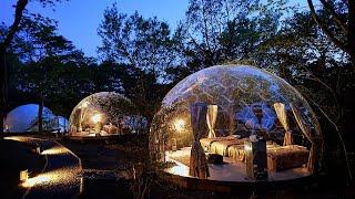 Staying in a 360° Transparent Dome Tent in Japan🫧 | Nasu Highland Park Towa Pure Cottages | ASMR