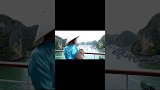 #capybara #funny #dongvat #memes #trendingshorts #giaitri #trending #cute #ytshorts #haihuoc #laugh