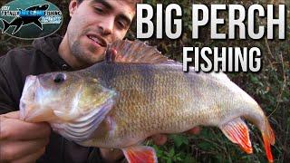 Big Perch Fishing | TAFishing