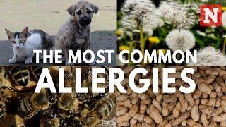 Five Most Common Allergies