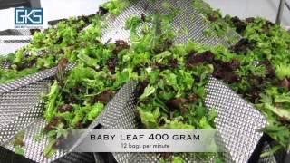 Salad packing   CP 350   Combimat 14 FFW   baby leaf