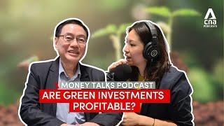 Are green investments profitable?