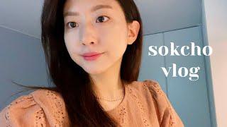 VLOG. 직장인 일상 브이로그 | 속초 가족여행 | 양양 설해원, 고성 라벤더팜, 국내 여행지 추천