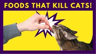 12 Common Foods that Will Kill Your Cat ‍⬛