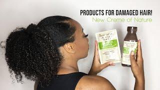 Products for Damaged Hair | July Treasure Tress Unboxing