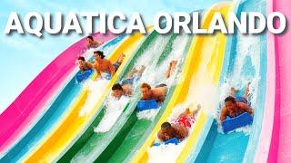 Aquatica Orlando, Water Park - Slides and Walking Tour