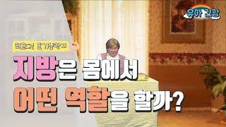 [유아 건강교육] 최고다! 호기심 딱지 - 5차시. 지방은 몸에서 어떤 역할을 할까?