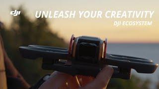 DJI Ecosystem | Unleash Your Creativity