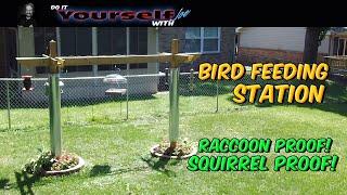 Stuck at Home? DIY Bird Feeders, Building a bird feeding station, Squirrel, and Raccoon Proof!