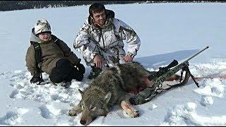 " WESTERN MONTANA WOLF HUNTING 6 "