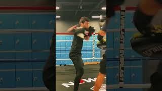 Power boxing combination mitt work .