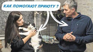 Как построить КОШАЧИЙ ПРИЮТ?  Кто помогает построить новый приют для кошек?