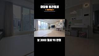 #야당동빌라월세 야당역 도보5분거리 큰평수 3000/90 만원