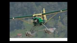 RC DHC-2 BEAVER Wasserflug von ESM (Display)