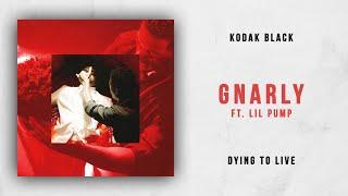 Kodak Black - Gnarly Ft. Lil Pump (Dying To Live)