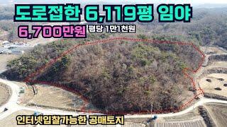 도로접한 6,119평 임야 6,700만원대 평당 1만1천원 인터넷 입찰이 가능한 공매 토지 주택