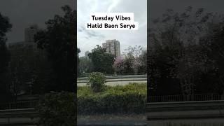 #tuesday #vibes #baonserye #taipo #hk #byahe #shortvideo #travel #shortsfeed