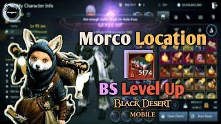 This week's Morco Location and BS Level Up | Black Desert Mobile