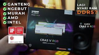 Salah Satu RAM DDR5 Yang Punya Design Ganteng & Performance Yang Ngebut! | FT Klevv Crass V RGB DDR5