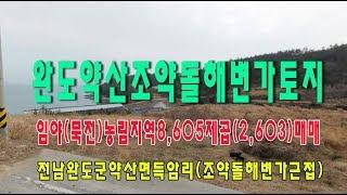 20-4[전남권부동산토지][완도바닷가토지]조약돌해변가접한토지(2.603py)매매~