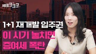 1+1 재개발 입주권, 아들과 딸에게 물려주겠다는 60대 사연  | 엄해림 세무사 [세테크크크]