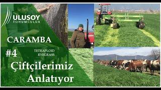 Caramba Eken Çiftçilerimiz Anlatıyor #4 - Ulusoy Tohumculuk