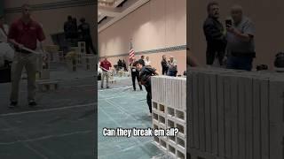 Checking Power | World Championships Sidekick Black Belt Men’s Breaking Attempt #karate #martialarts