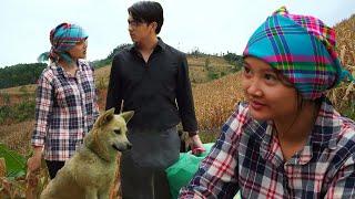 After many trials, James and Diep finally found peace in their quiet little farm | Ly Tu Diep Story