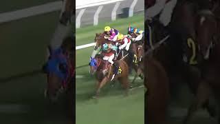 9 DRAGON FOUR SEAS - Z Purton #ZPueton #Purton #Horse #Racing #Sport #Results #賽馬結果 #马會 #油管 #赛马结果