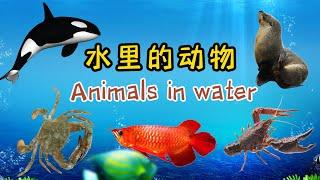 水里的动物 | Animals in Water | Learn Animals Sounds and Names | 中文加油站GG |@Chineseclass365