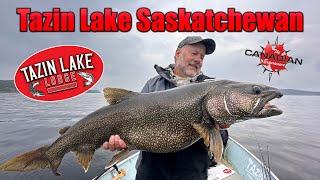 Trophy Lake Trout Fishing at Tazin Lake - Saskatchewan!