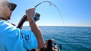 Calm Ocean—Stellar Bite! (These Fish Were STACKED)