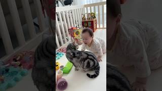 호야 나랑 놀자 ! #육아일상 #baby #cat #catbaby #아기랑고양이 #8개월아기 #육ㅇㅏ #육아일기 #육아브이로그  #고양이일상