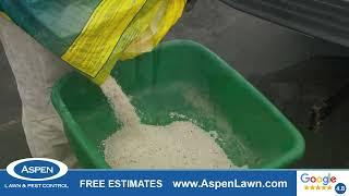 Fast, Reliable Lawn & Pest Solutions in KC by Aspen Lawn & Pest Control