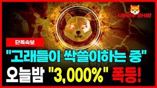 [시바이누 코인] 고래들이 싹쓸이하는 중! 폭등한다고 했죠!? 오늘 밤 "3,000" 폭등! 시작!